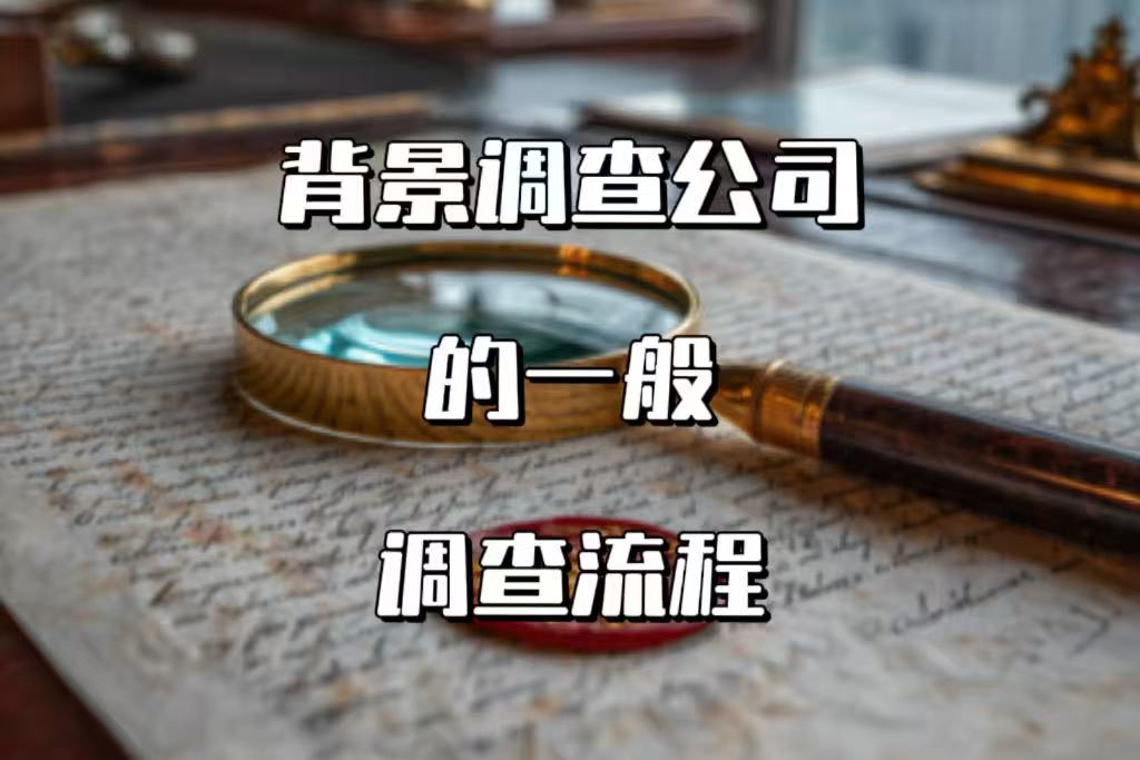 一张流程图，从“委托咨询”到“交付报告”7个环节，箭头清晰，专业感十足。